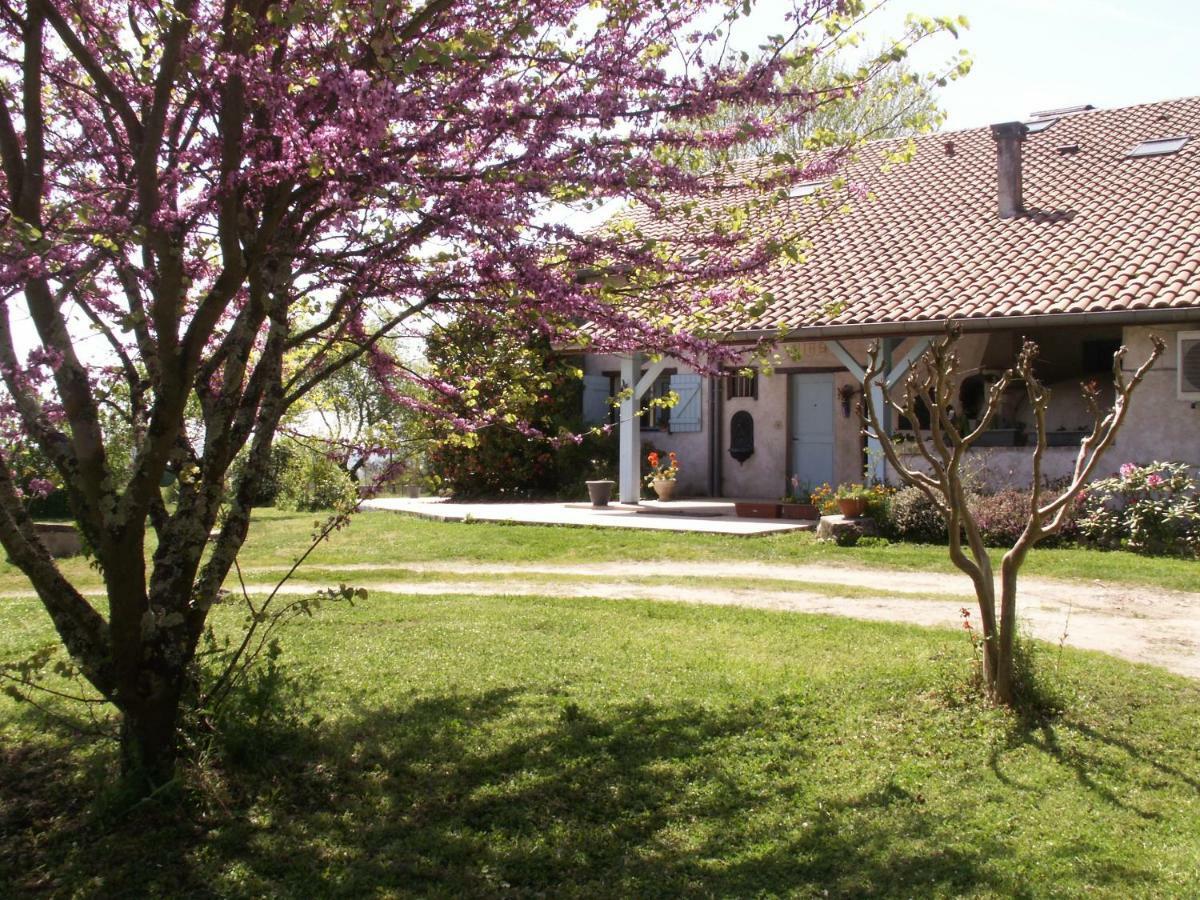 Domaine Hias Bed & Breakfast Angoume Luaran gambar